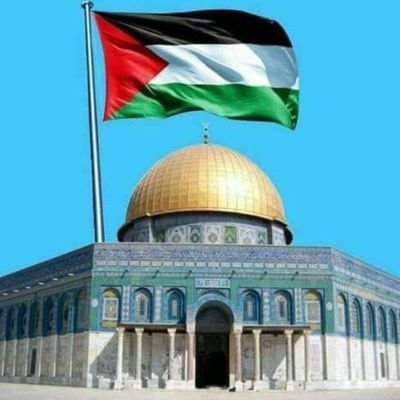 valoros_abbasi8's profile picture. Sportsman , Student , nature lover, humanist, Brusque for rude ones , literature junky, explorer, Researcher.