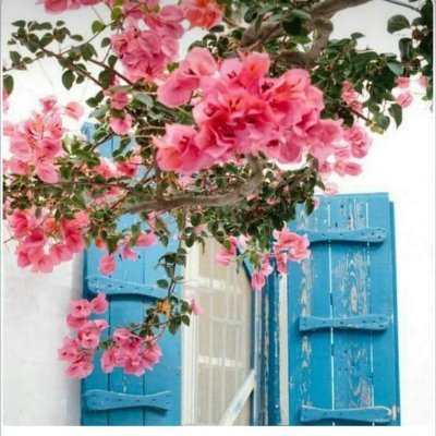 GulverDynkl's profile picture. Aile Hekimi/Sakarya