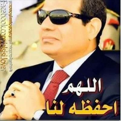 narjeman's profile picture. لو لم اكن مصريه لودت ان اكون مصريه تحيا مصر