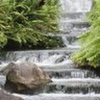 Laura Lim (@lauracos315) 's Twitter Profile