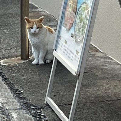 ただの学部4年の学術系閲覧用垢です 地震学中心とした地学全般に興味あります。 将来的に何か発表することがあればここから発信するかもです 今はひとりごと置いてます