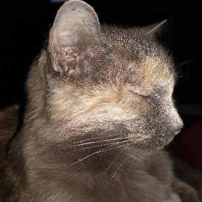 Djl41012's profile picture. 