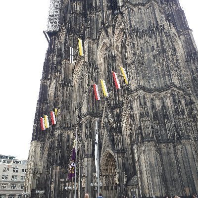 t_takata1115's profile picture. DBDやってます。内科やってます。開業医2年目です。