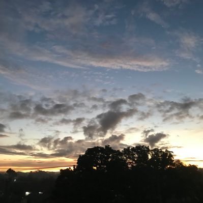 moepoe_'s profile picture. 