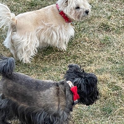 USAconscienceJC's profile picture. Son of the greatest generation