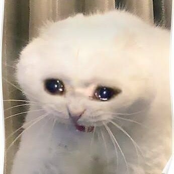 lmcoldalt's profile picture. 