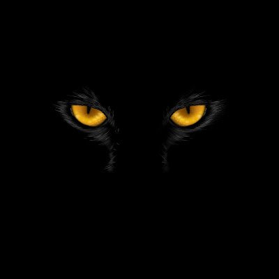 swartka28256071's profile picture. 