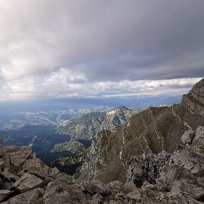 MartaTrillas1's profile picture. 