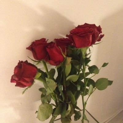 redismycolor99's profile picture. 