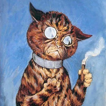 kybobcat's profile picture. Go Big Blue!