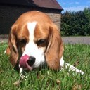 Gregory Bowen - @GregoryBowen - Twitter