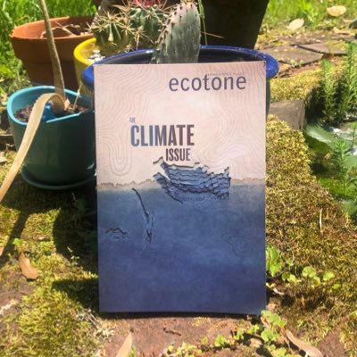 Ecotone Magazine