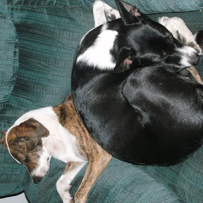 Wintrickscifi's profile picture. Best selling author