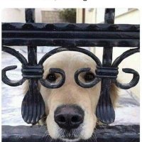 Conan The Barbar (@conanthebarbar7) 's Twitter Profile