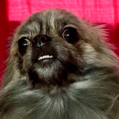 Kennyさんのプロフィール画像