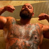 Golden Cali Bear (@goldencalibear) 's Twitter Profile Photo Golden Cali Bear (@goldencalibear) 's Twitter Profile Photo