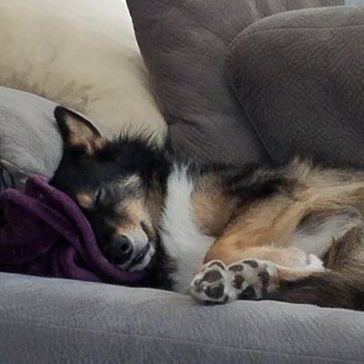 PMontecki's profile picture. I'm just me.  Take it or leave it.