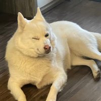 Dani Bayer (@teachingwithmsb) 's Twitter Profile Photo Dani Bayer (@teachingwithmsb) 's Twitter Profile Photo