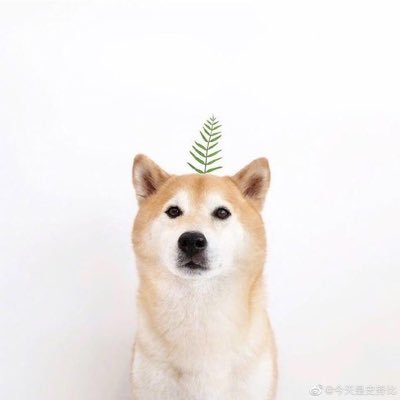 justniceprsn's profile picture. Just a nice person