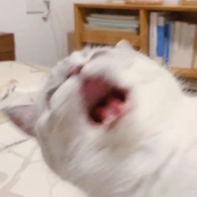 m1pwtt's profile picture. 