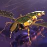 TangleBees's profile picture. busy Bees on #IOTA