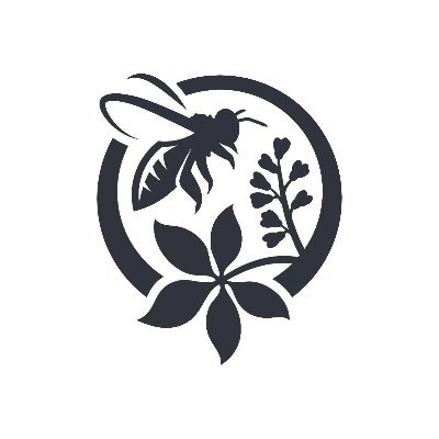 BallesGraines's profile picture. Lancez les balles de graines dans votre jardin ou dans un espace vert et laissez faire la nature. #Bio #Green #Earth #Bee #Abeilles #SaveTheWorld #MadeInFrance