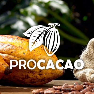 procacao's profile picture. PROCACAO es un proyecto que trabaja por el mejoramiento de las capacidades productivas y organizativas de los productores y productoras de cacao en Nicaragua.