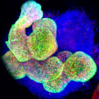 Munera lab (@muneralab) 's Twitter Profile