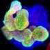 Munera lab (@muneralab) Twitter profile photo Munera lab (@muneralab) Twitter profile photo