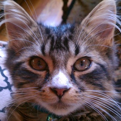 NowIKnoWhy's profile picture. 