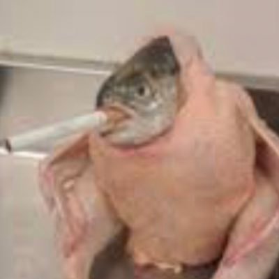 cocacola1100's profile picture. Yobaniy tseivo syka stepler