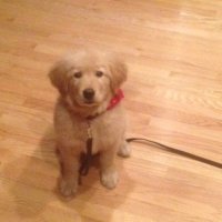 SMB28 (@smb287) 's Twitter Profile
