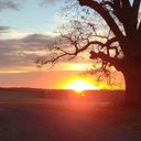 clinton lester - @clintonlester14 - Twitter