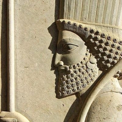 sina677's profile picture. 《 SIMP 》