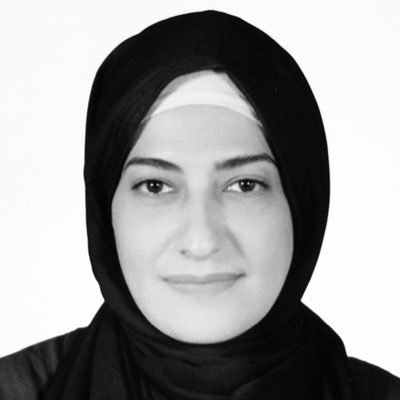 Journalist and Independent Researcher from Yemen