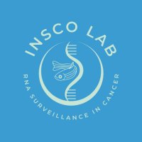 Insco Lab (@inscolab) 's Twitter Profile