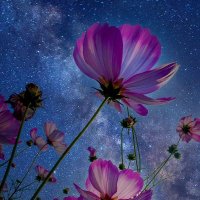 .sp. (@bobiivanov12) 's Twitter Profile