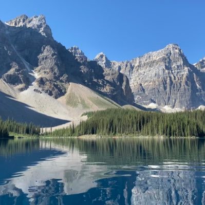 Steven499913022's profile picture. 