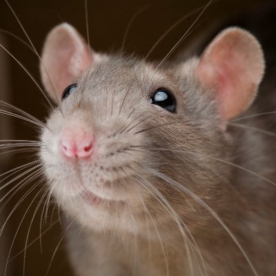 juandeag157's profile picture. 