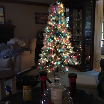 CaroleBlair20's profile picture. 