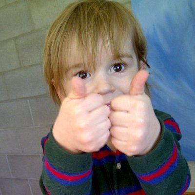liamubs's profile picture. I follow more dogs than people on twitter becasue the more I get to know people, the more I like dogs.  Pro-bollard, anti-selfish,stupid humans.