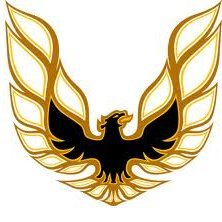 JsMcneal's profile picture. Just a guy that believes in natural rights, individual liberty, self determination, and personal responsibility. #2A #Cessna172 #GeneralAviation