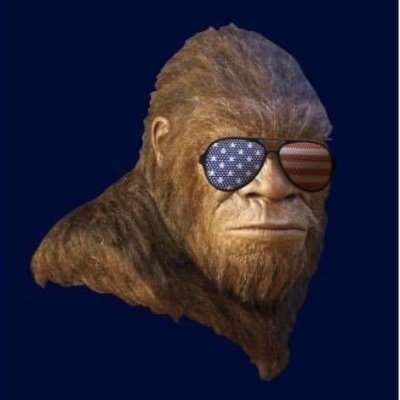 KeithMedeiros12's profile picture. 🪐