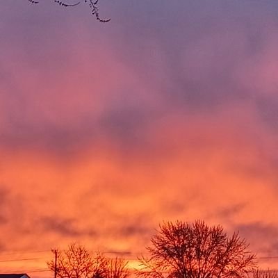 bigbgz42's profile picture. novice crypto and Nft investor/seller  https://t.co/Tq7nQ03xtB