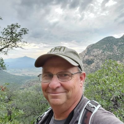 DavidHickling1's profile picture. 