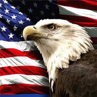 Patriot Eagle(@FreedomForAll33) 's Twitter Profile Photo