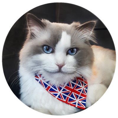 Boris, the Conservative Cat.