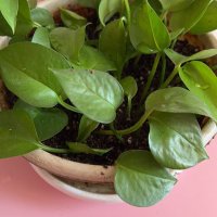 syligege888 (@syligege888) 's Twitter Profile