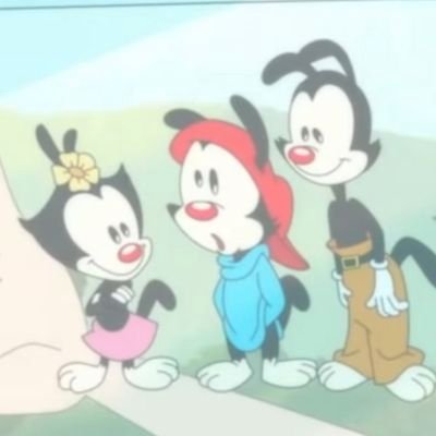 Está conta foi criada para promover notícias sobre Animaniacs e Tiny Toons.