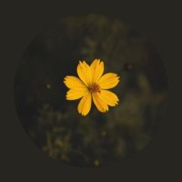 ام عبدالله الدوسري (@omabdullah0505) Twitter profile photo